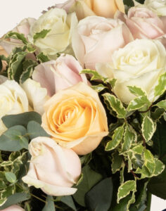 bouquet de roses multicolores gros boutons avec feuillage monsieur marguerite comparaison bloomyrama