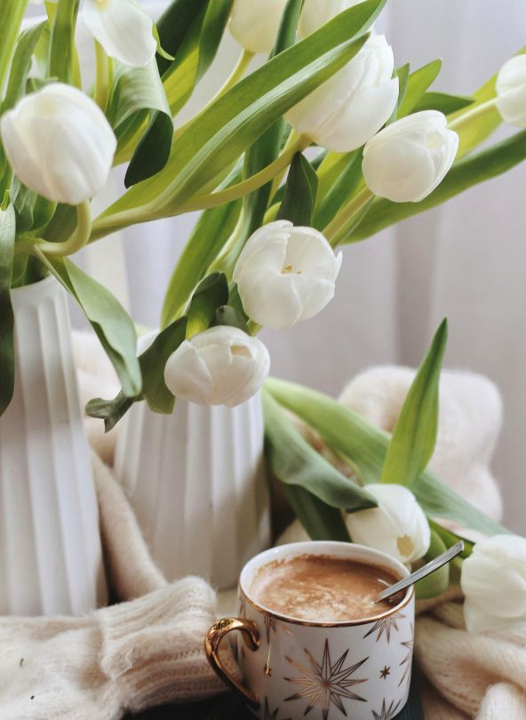 tulipes blanches fleurs pour s'excuser comparateur de fleurs bloomyrama