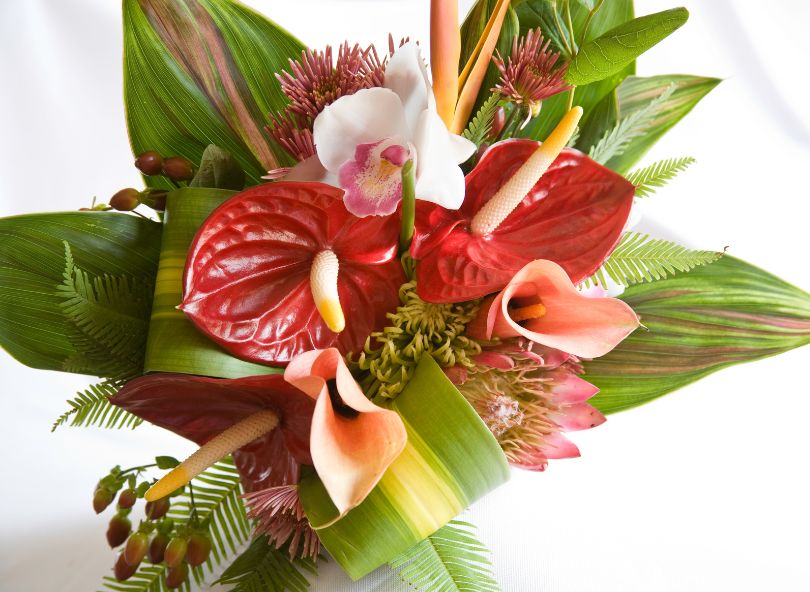 bouquet fleur exotique comparateur fleurs bloomyrama