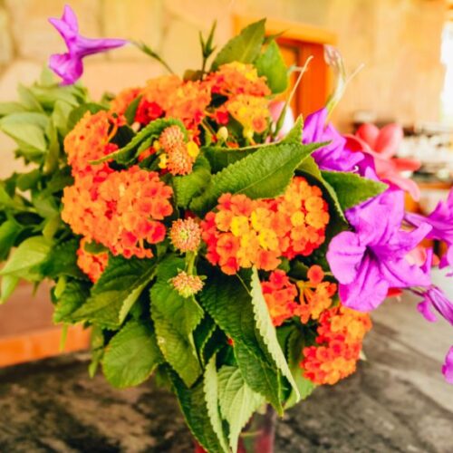 Comment conserver un bouquet de fleurs exotiques plus longtemps ?