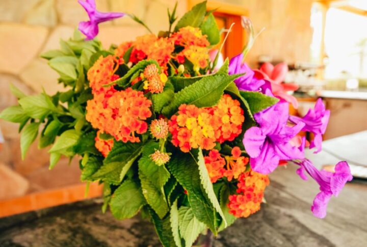 Comment conserver un bouquet de fleurs exotiques plus longtemps ?