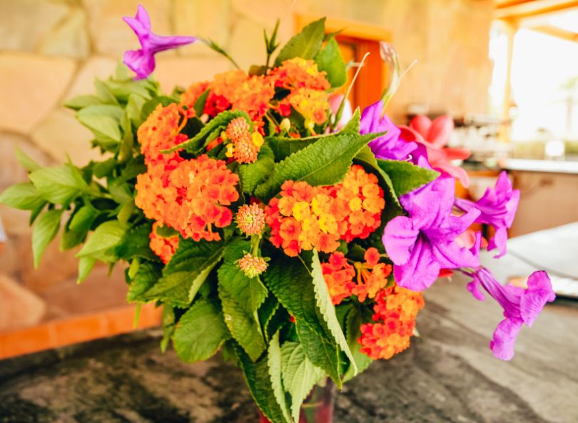bouquet de fleurs exotiques comparateur de fleurs bloomyrama