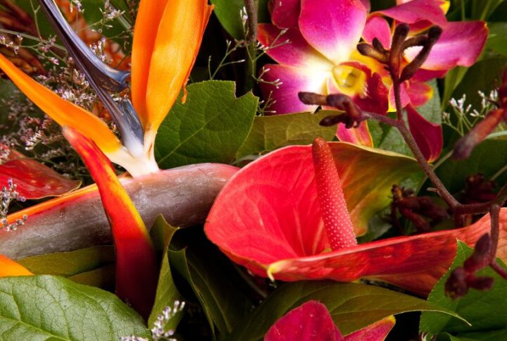 Quelles sont les fleurs exotiques les plus populaires en bouquet ?
