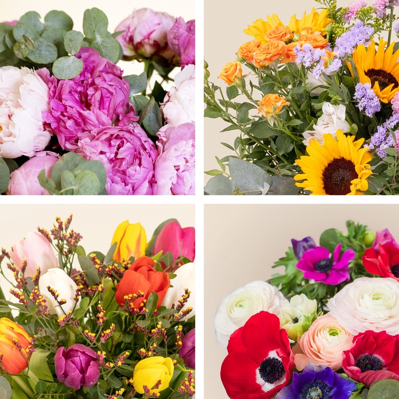 bouquet du fleuriste saison Interflora comparateur bloomyrama