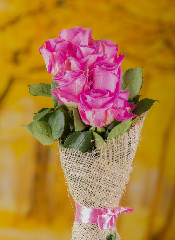 bouquet rose equatorienne rose comparateur fleur bloomyrama