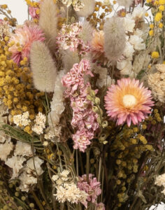 Bouquet fleurs séchées rose et crème Monsieur Marguerite comparateur de fleurs bloomyrama