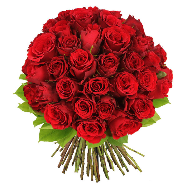 brassee de 50 roses rouges Florajet fleurs romantiques et passion disponible sur le comparateur bloomyrama