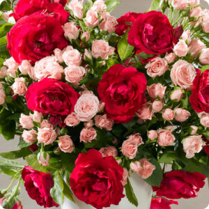 bouquet du fleuriste rose et rouge 123fleurs disponible sur le comparateur bloomyrama