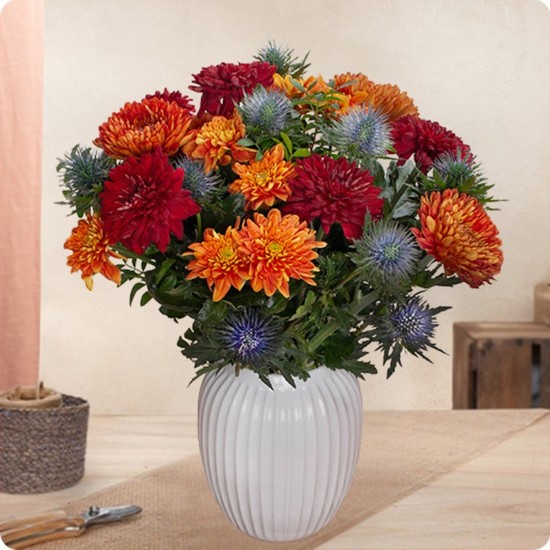 Bouquet Mexico chrysanthèmes chardon bleu 123fleurs comparateur bloomyrama