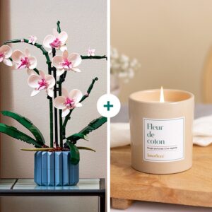 orchidee lego decorative avec bougie parfumee fleur de coton interflora disponible sur le comparateur bloomyrama