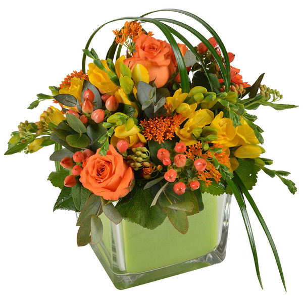 bellissima composition florale roses freesia florajet comparateur de fleurs bloomyrama