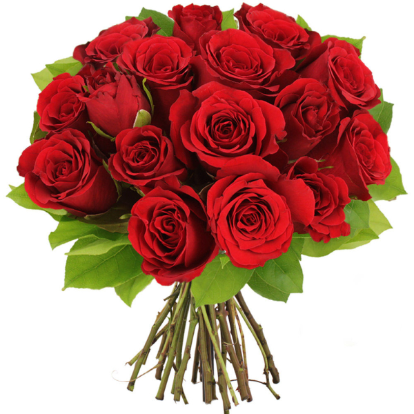 Bouquet roses rouges Florajet disponible sur le comparateur bloomyrama