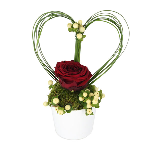 Composition Rouge Florajet rose rouge cœur végétal geste romantique bloomyrama