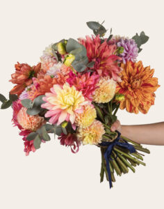 Bouquet 25 Dahlias fleurs françaises de saison Monsieur Marguerite vu sur le comparateur de fleurs bloomyrama