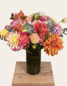 Bouquet 25 Dahlias vase fleurs françaises de saison Monsieur Marguerite vu sur le comparateur bloomyrama