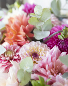 Bouquet rose 25 Dahlias fleurs françaises de saison Monsieur Marguerite vu sur le comparateur bloomyrama