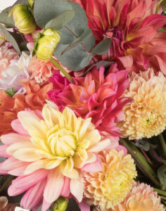 Bouquet orange 25 Dahlias fleurs françaises de saison Monsieur Marguerite vu sur le comparateur bloomyrama
