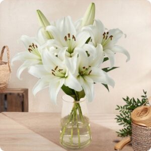 Bouquet lys blancs Fleurs de Lys blancs 123fleurs vu sur le comparateur bloomyrama