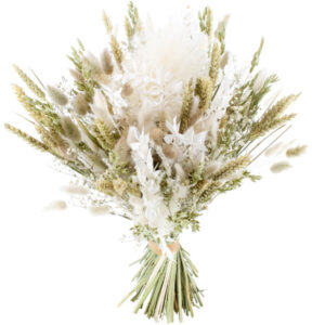 Bouquet fleurs séchées blanches blé naturel Fleur de Lumière Florajet vu sur le comparateur bloomyrama