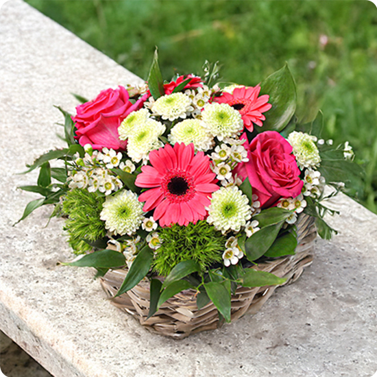 Composition Belle étoile roses et gerberas roses 123fleurs comparateur de fleurs bloomyrama