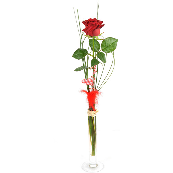 Rose rouge solitaire amour passion fleur unique florajet vu sur le comparateur de fleurs bloomyrama