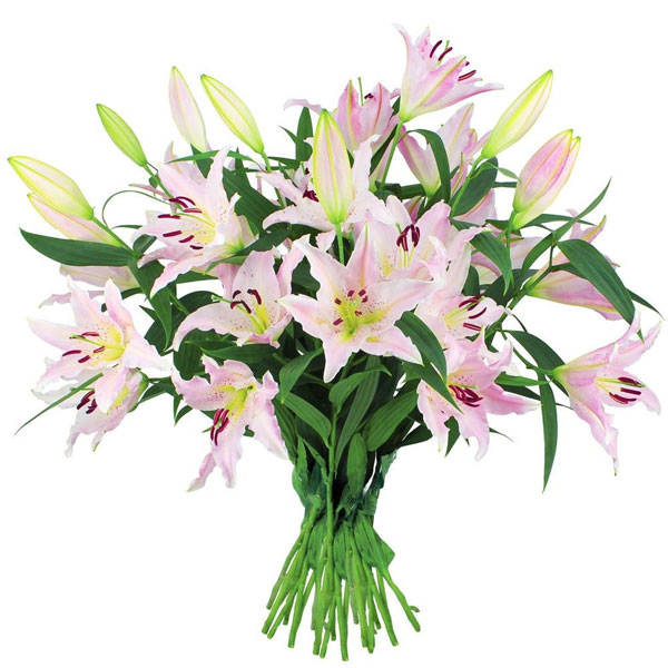 Bouquet lys roses élégant parfumé florajet vu sur le comparateur de fleurs bloomyrama