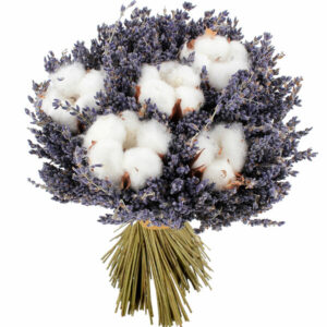 Bouquet fleurs séchées coton et lavande esprit provençal livraison florajet vu sur le comparateur de fleurs bloomyrama