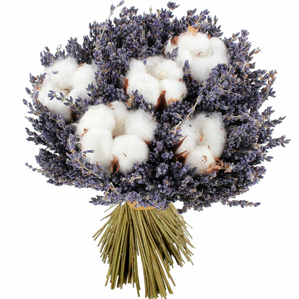 Bouquet fleurs séchées coton et lavande esprit provençal livraison florajet vu sur le comparateur de fleurs bloomyrama
