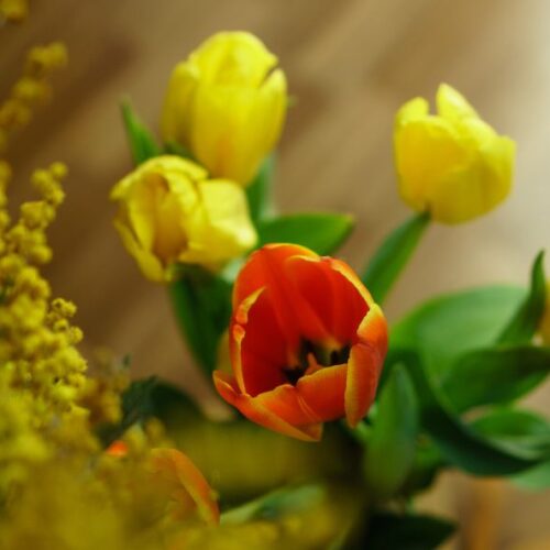 Les fleurs d’hiver pour illuminer votre intérieur