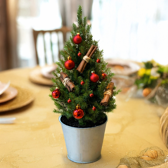 Petit sapin naturel decore en pot pour decor de Noel disponible sur le comparateur bloomyrama