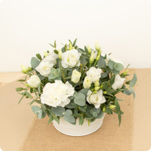 Arrangement Nacre fleurs blanches lisianthus œillets eucalyptus contenant blanc 123fleurs disponible sur bloomyrama