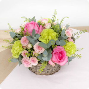 Arrangement Agatha roses œillets verts et eucalyptus 123fleurs disponible sur le comparateur bloomyrama