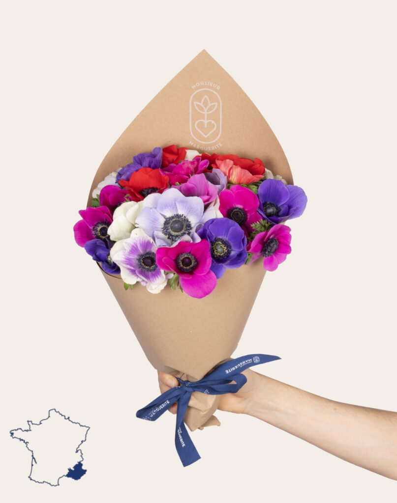 Bottes surprise anémones françaises de saison aux couleurs aléatoires Monsieur Marguerite disponibles sur bloomyrama