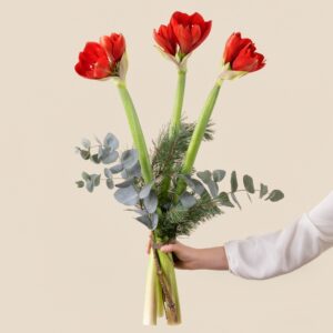 Bouquet damaryllis rouges avec eucalyptus Noel Interflora disponible sur le comparateur bloomyrama