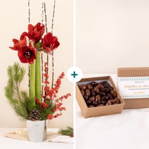 Composition rouge avec amaryllis ilex salix et pommes de pin avec amandes chocolat disponible sur le comparateur bloomyrama