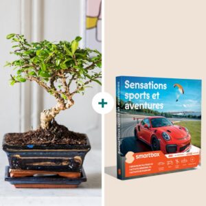 Coffret Duo Bonsai et Aventures calme et adrénaline en cadeau livraison par Interflora sur le comparateur de fleurs bloomyrama