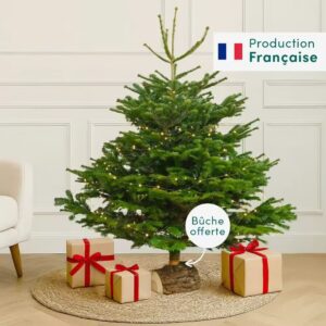 sapin interflora comparateur de fleurs bloomyrama