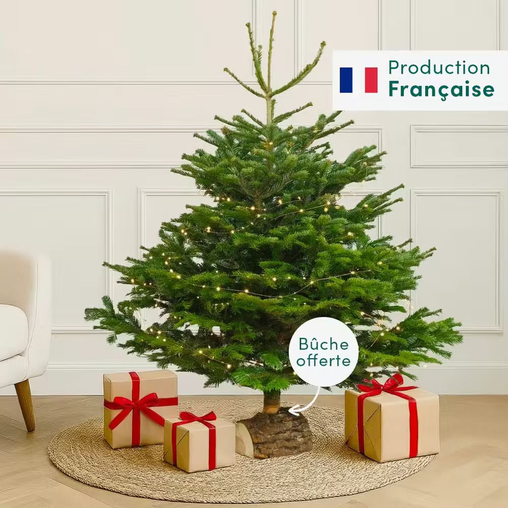 sapin interflora comparateur de fleurs bloomyrama