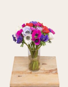 Bottes surprise anémones vase couleurs aléatoires Monsieur Marguerite disponibles sur bloomyrama