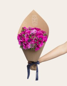 Bottes surprise anémones emballées de saison aux couleurs aléatoires Monsieur Marguerite disponibles sur bloomyrama