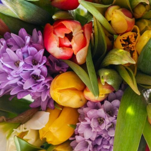 Pourquoi a-t-on (encore plus) besoin de fleurs en hiver ?