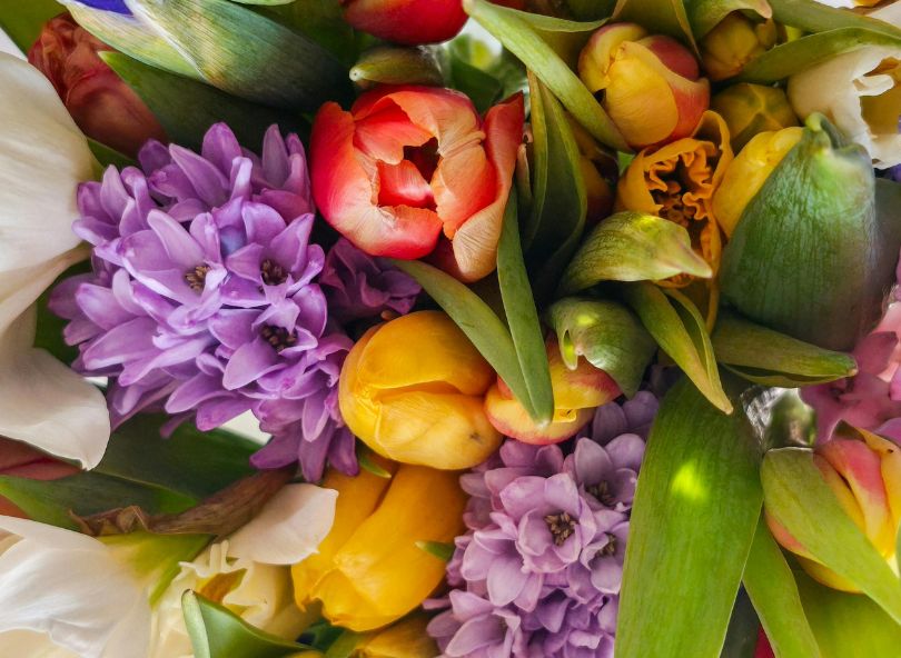 bouquet de fleurs hiver comparateur de fleurs bloomyrama