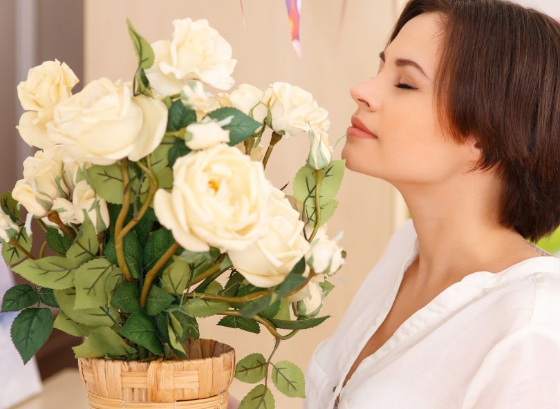 les fleurs qui sentent bon comparez les bouquets sur bloomyrama.com