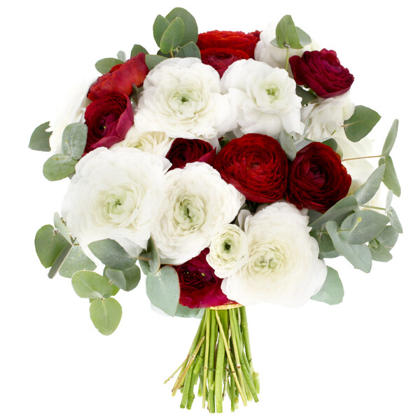 Bouquet Magie des fêtes avec renoncules rouges et blanches et feuillage vert disponible sur le comparateur bloomyrama
