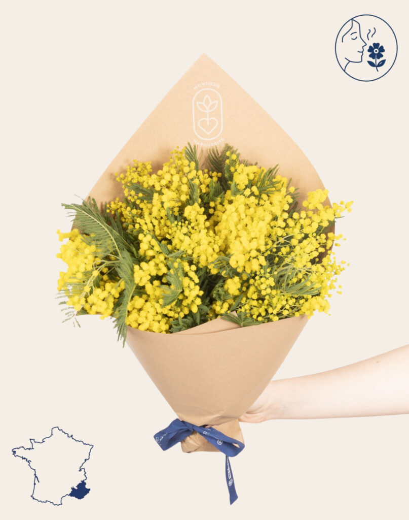 botte de mimosa fleurs de saison livraison Monsieur marguerite comparaison de fleurs bloomyrama