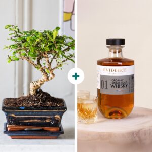 Coffret avec bonsaï carmona et bouteille de whisky français bio cadeau élégant Interflora disponible sur le comparateur bloomyrama