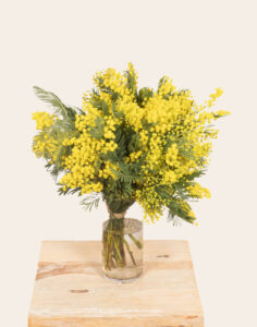 botte de mimosa fleurs de saison livraison Monsieur marguerite comparateur de fleurs bloomyrama