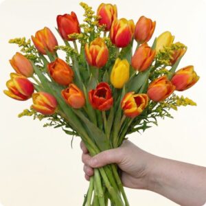 Bouquet de tulipes jaunes orange rouges et bicolores avec solidago composition florale lumineuse réalisée par 123fleurs disponible sur le comparateur bloomyrama