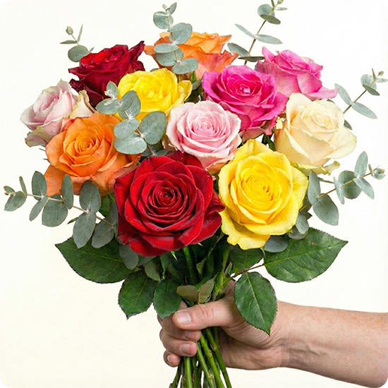 Bouquet rond de roses multicolores avec cinerea fleurs fraîches aux couleurs vives 123fleurs disponible sur le comparateur bloomyrama