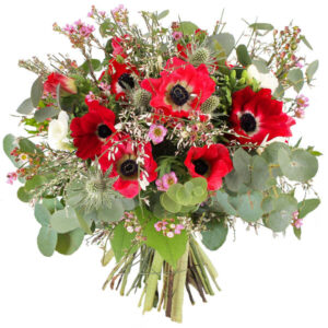 Bouquet d’hiver aux anémones rouges et eucalyptus argenté au style champêtre Florajet disponible sur le comparateur bloomyrama
